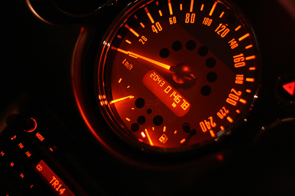 808 king 2 IMG_8071.jpg